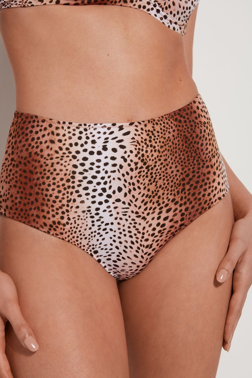 Animal Vintage Animal Print 614v Tezenis Vintage Animal Print High-Rise Bikini Bottoms | 914075-DQA