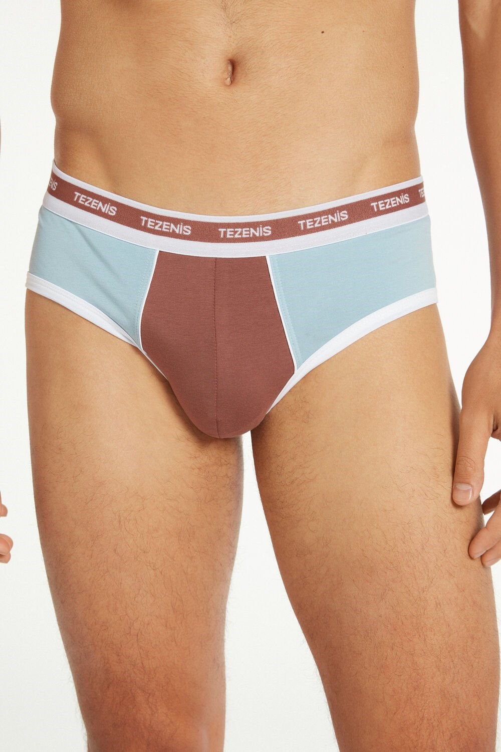 Blue Bark Brown/Ice Blue 543v Tezenis Two-tone Cotton Panties with Logoed Elastic | 148570-LQN