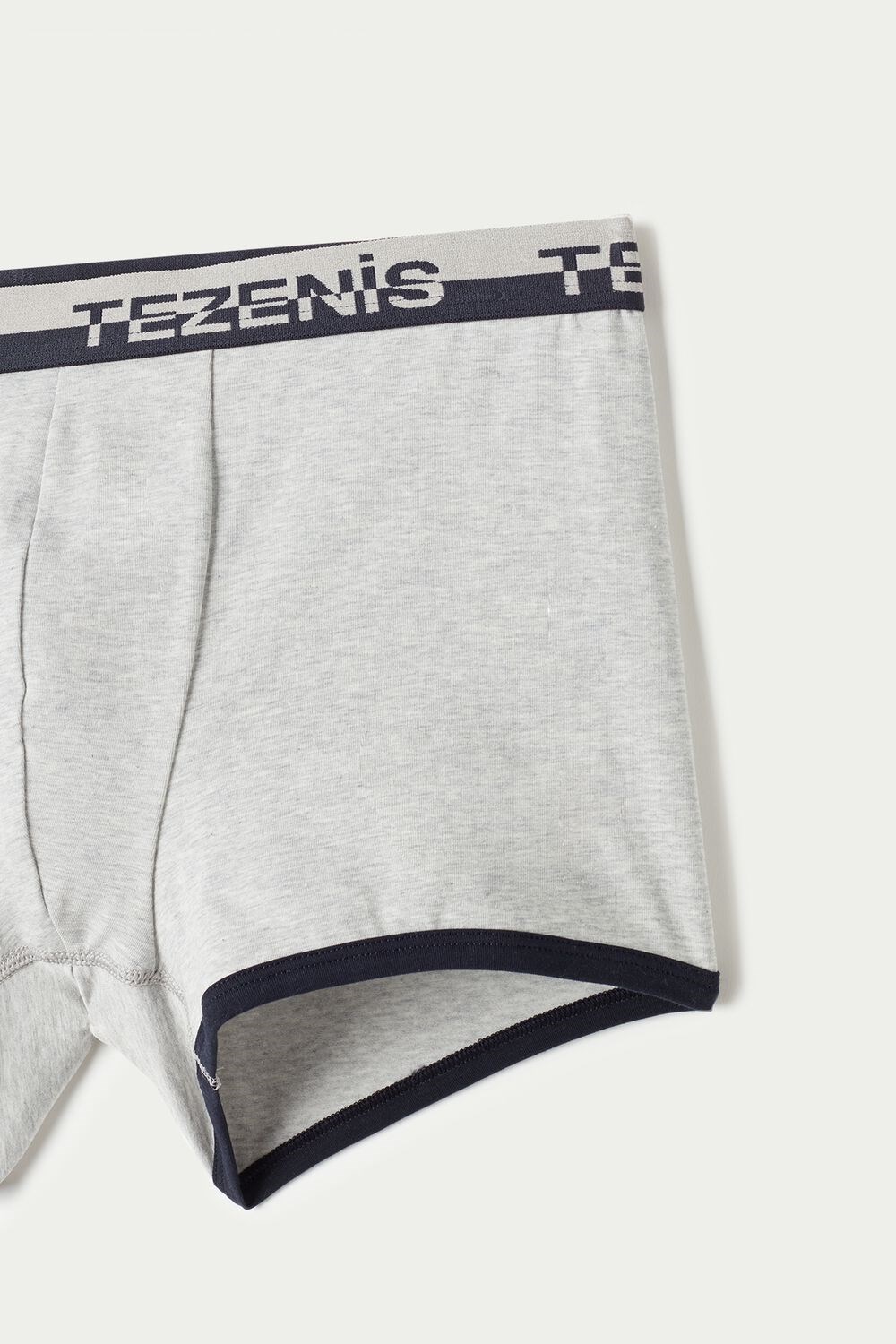 Blue Light Gray Heather/Dark Blue 085u Tezenis Cotton Boxers with Logo Elastic Band | 439150-HOW