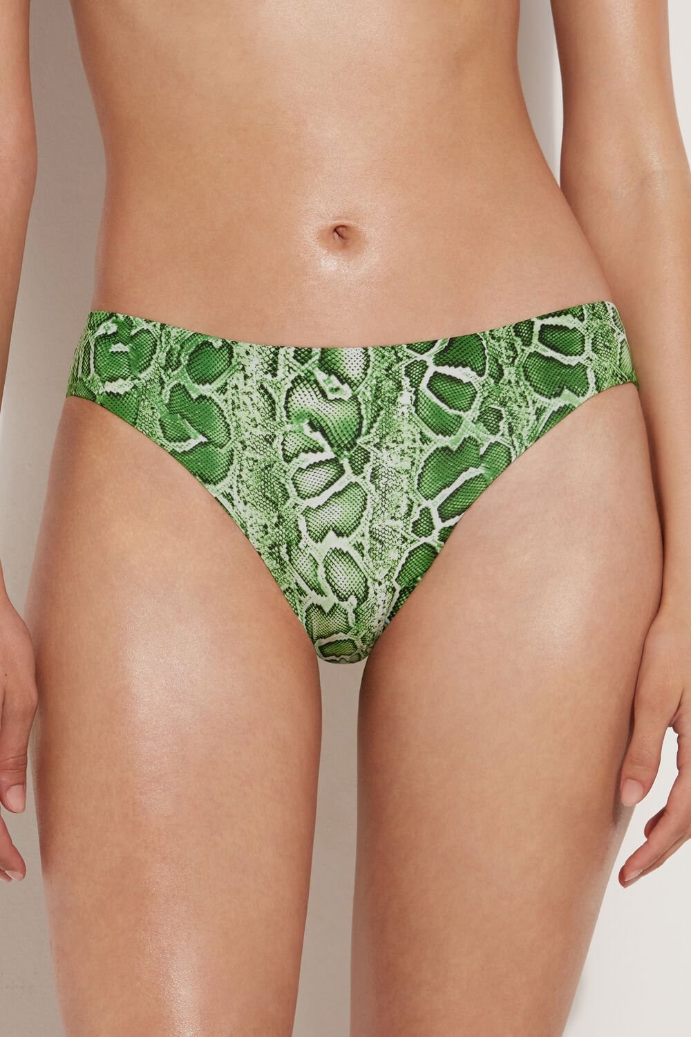 Green Tropical Snake Print 608v Tezenis Tropical Snake Classic Bikini Bottoms | 950147-XNB