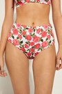 Floral Romantic Rose Print 598v