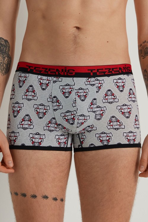 Grey Light Gray Heather Gorilla Print 422v Tezenis Printed Cotton Boxers with Logo Elastic Waistband | 795184-SXM